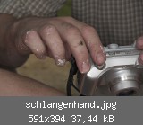 schlangenhand.jpg