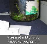 Wiesenplankton.jpg