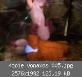 Kopie vonaxos 005.jpg