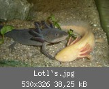 Lotl`s.jpg