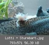 Lotti + Sturmbart.jpg