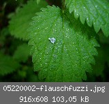 05220002-flauschfuzzi.jpg