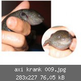 axi krank 009.jpg