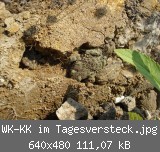 WK-KK im Tagesversteck.jpg