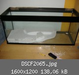 DSCF2065.jpg