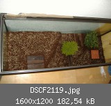 DSCF2119.jpg