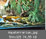 Aquaterrarium.jpg