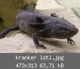 kranker lotl.jpg