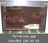 Terrarium.jpg