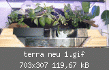 terra neu 1.gif