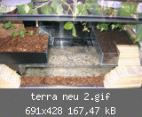 terra neu 2.gif