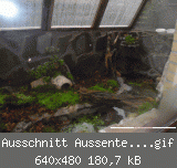 Ausschnitt Aussenterrarium1.gif