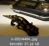k-DSC04484.jpg