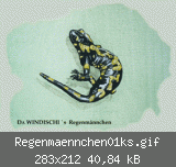 Regenmaennchen01ks.gif