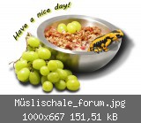 Mslischale_forum.jpg