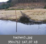 hachen3.jpg