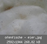 ofenfische - eier.jpg