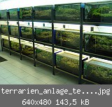 terrarien_anlage_teil_1__.jpg