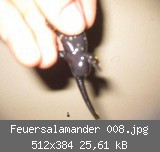 Feuersalamander 008.jpg