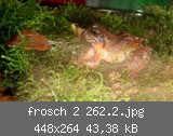 frosch 2 262.2.jpg