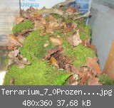 Terrarium_7_0Prozent verkleinert.jpg