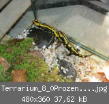 Terrarium_8_0Prozent verkleinert.jpg