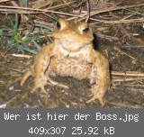 Wer ist hier der Boss.jpg