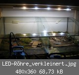 LED-Rhre_verkleinert.jpg