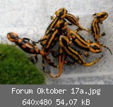 Forum Oktober 17a.jpg