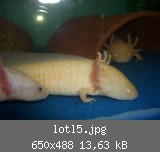 lotl5.jpg