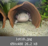 lotl8.jpg